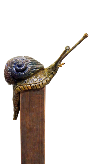 Roland Menten - De zon aanbidder (Composite)